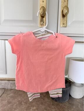 Garanimals / Carter's Two-Piece Outfit with Pink Top and Striped Leggings